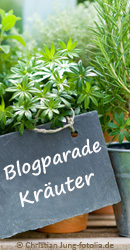 Blogparade Kräuter
