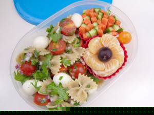 ausgewogenes Anfängerbento
