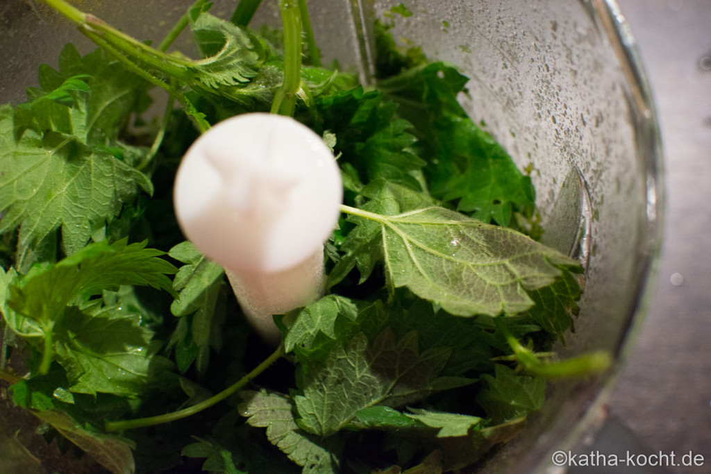 Brennessel_Pesto_Katha