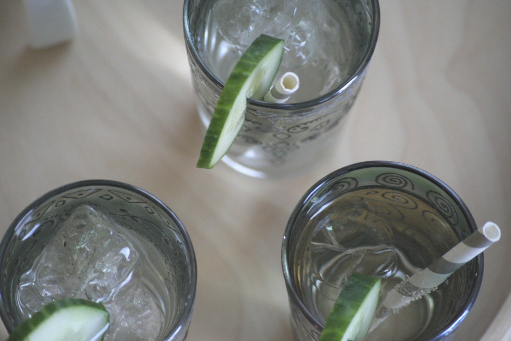 gin-tonic2